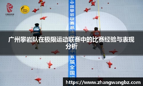 333体育官网